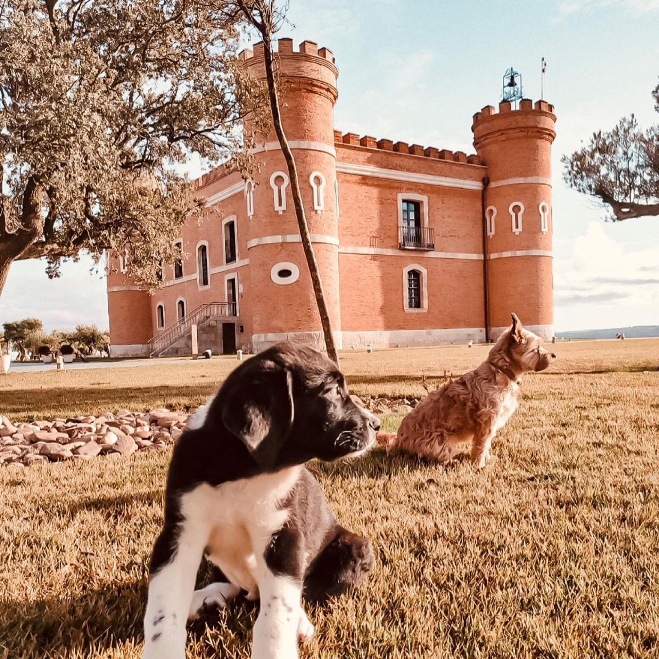 טורו Castillo De Monte La Reina Posada Real & Bodega מראה חיצוני תמונה