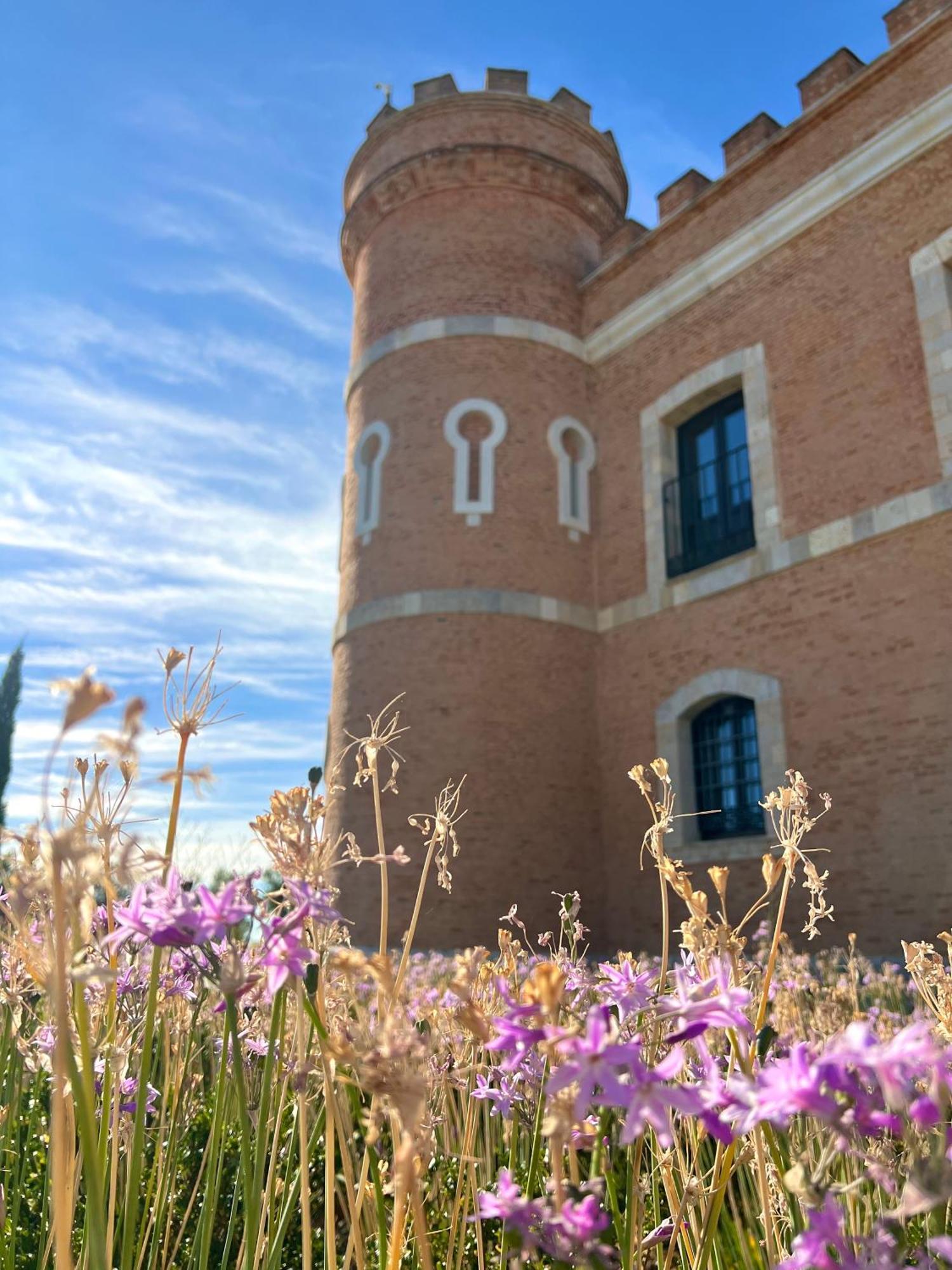 טורו Castillo De Monte La Reina Posada Real & Bodega מראה חיצוני תמונה